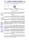 Vista preliminar de documento Resolución Directoral N° 2871 - 2024 
