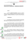 Vista preliminar de documento RESOLUCION DE PRESIDENCIA-CONADIS -D000249-2024-CONADIS - PRE