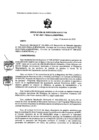 Vista preliminar de documento RDE 001-2022-PMSAJ-EJENOPENAL