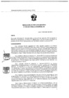 Vista preliminar de documento RDE 004-2022-PMSAJ-EJENOPENAL