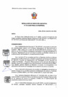 Vista preliminar de documento RDE 011-2020-PMSAJ-EJENOPENAL