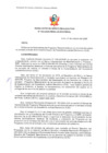Vista preliminar de documento RDE 004-2020-PMSAJ-EJENOPENAL