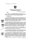 Vista preliminar de documento RDE 014-2020-PMSAJ-EJENOPENAL