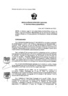 Vista preliminar de documento RDE 009-2020-PMSAJ-EJENOPENAL