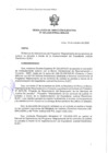 Vista preliminar de documento RDE 003-2020-PMSAJ-EJENOPENAL
