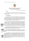 Vista preliminar de documento RDE 008-2020-PMSAJ-EJENOPENAL