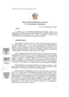 Vista preliminar de documento RDE 010-2020-PMSAJ-EJENOPENAL