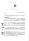 Vista preliminar de documento RDE 007-2020-PMSAJ-EJENOPENAL