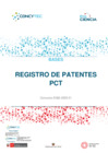 Vista preliminar de documento Bases Patentes_PCT2025