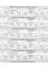 Vista preliminar de documento penalidades noviembre