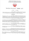Vista preliminar de documento 486
