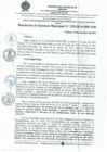 Vista preliminar de documento RESOLUCIÓN N° 239