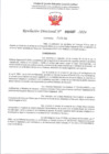 Vista preliminar de documento 487