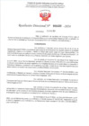 Vista preliminar de documento 488