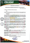Vista preliminar de documento Resolucion de GM N°155