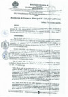 Vista preliminar de documento RESOLUCIÓN N° 243