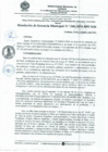Vista preliminar de documento RESOLUCIÓN N° 246