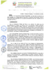 Vista preliminar de documento RESOLUCIÓN DE GERENCIA N° 0242