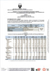 Vista preliminar de documento PAP 2024 DIRESA
