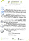 Vista preliminar de documento RESOLUCIÓN DE GERENCIA N° 0245