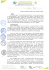 Vista preliminar de documento RESOLUCIÓN DE GERENCIA N° 0249