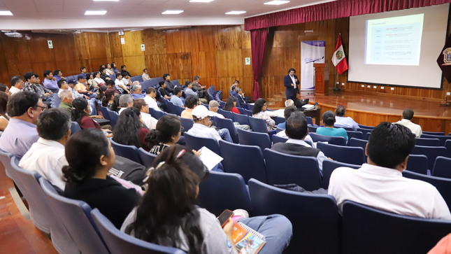 Descripcion de la foto