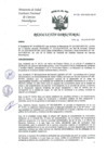 Vista preliminar de documento RD-175-2024-DG-INCN