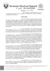 Vista preliminar de documento RDR Nº 4617-2024-GRSM-DRE