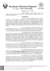 Vista preliminar de documento RDR Nº 4618-2024-GRSM-DRE