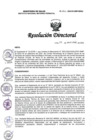 Vista preliminar de documento RD N° 294-2024-DG-INMP/MINSA