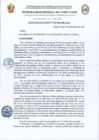 Vista preliminar de documento RA-N316-2024-MDCV-ALC