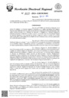 Vista preliminar de documento RDR Nº 4629-2024-GRSM-DRE