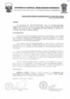 Vista preliminar de documento Resolucion