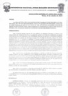 Vista preliminar de documento Resolucion