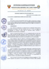Vista preliminar de documento OM-N012-2024-MDCV-ALC