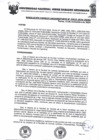 Vista preliminar de documento Resolucion