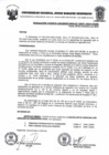 Vista preliminar de documento Resolucion