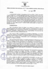 Vista preliminar de documento Resolucion 369