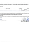 Vista preliminar de documento Anexo N° 06 Aprobación de Modificaciones al Cuadro Multianual de Necesidades N° 00000003