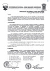 Vista preliminar de documento Resolucion