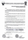 Vista preliminar de documento Resolucion