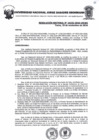 Vista preliminar de documento Resolucion