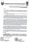 Vista preliminar de documento Resolucion