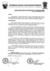 Vista preliminar de documento Resolucion