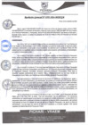 Vista preliminar de documento rgm595