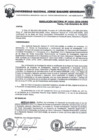 Vista preliminar de documento Resolucion