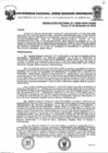 Vista preliminar de documento Resolucion