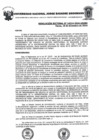 Vista preliminar de documento Resolucion