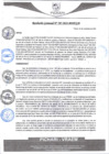 Vista preliminar de documento rgm597