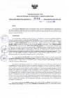 Vista preliminar de documento RDR N° 689-2024-26-12-2024